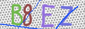 画像に表示された文字を入力して下さい