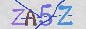 画像に表示された文字を入力して下さい