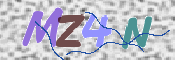 画像に表示された文字を入力して下さい