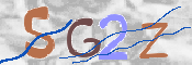 画像に表示された文字を入力して下さい