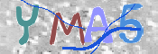 画像に表示された文字を入力して下さい
