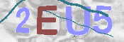 画像に表示された文字を入力して下さい