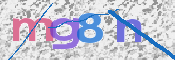 画像に表示された文字を入力して下さい