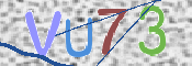 画像に表示された文字を入力して下さい