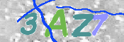 画像に表示された文字を入力して下さい