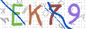 画像に表示された文字を入力して下さい