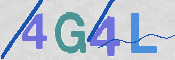 画像に表示された文字を入力して下さい