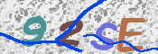 画像に表示された文字を入力して下さい