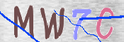 画像に表示された文字を入力して下さい