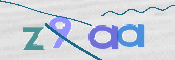 画像に表示された文字を入力して下さい