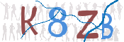 画像に表示された文字を入力して下さい
