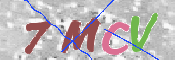 画像に表示された文字を入力して下さい