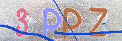 画像に表示された文字を入力して下さい