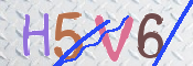 画像に表示された文字を入力して下さい