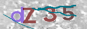 画像に表示された文字を入力して下さい