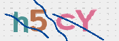画像に表示された文字を入力して下さい