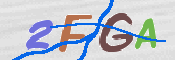 画像に表示された文字を入力して下さい