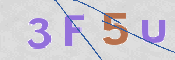画像に表示された文字を入力して下さい
