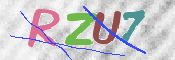 画像に表示された文字を入力して下さい