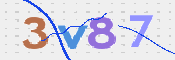 画像に表示された文字を入力して下さい