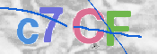 画像に表示された文字を入力して下さい