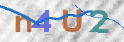 画像に表示された文字を入力して下さい