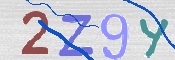 画像に表示された文字を入力して下さい
