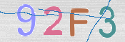 画像に表示された文字を入力して下さい