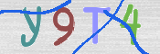 画像に表示された文字を入力して下さい