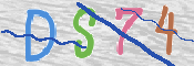 画像に表示された文字を入力して下さい