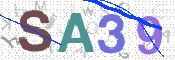 画像に表示された文字を入力して下さい