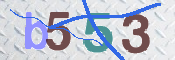 画像に表示された文字を入力して下さい
