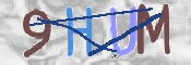 画像に表示された文字を入力して下さい