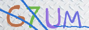 画像に表示された文字を入力して下さい