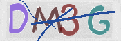 画像に表示された文字を入力して下さい