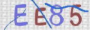 画像に表示された文字を入力して下さい