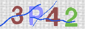 画像に表示された文字を入力して下さい