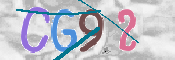 画像に表示された文字を入力して下さい