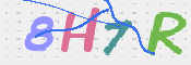 画像に表示された文字を入力して下さい