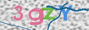 画像に表示された文字を入力して下さい