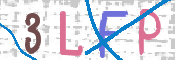 画像に表示された文字を入力して下さい