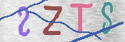 画像に表示された文字を入力して下さい