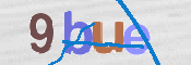 画像に表示された文字を入力して下さい