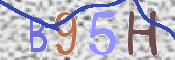 画像に表示された文字を入力して下さい