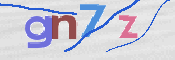 画像に表示された文字を入力して下さい