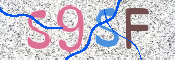 画像に表示された文字を入力して下さい