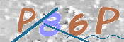 画像に表示された文字を入力して下さい