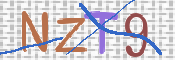 画像に表示された文字を入力して下さい