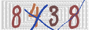 画像に表示された文字を入力して下さい