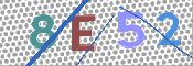 画像に表示された文字を入力して下さい